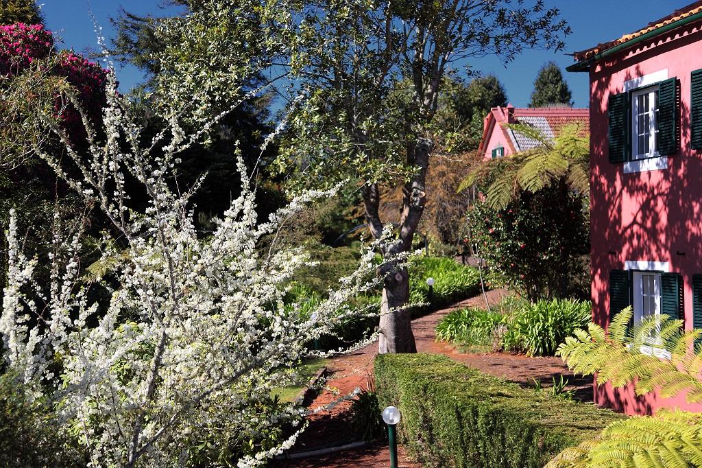 Quinta Santo Antonio Da Serra Екстериор снимка