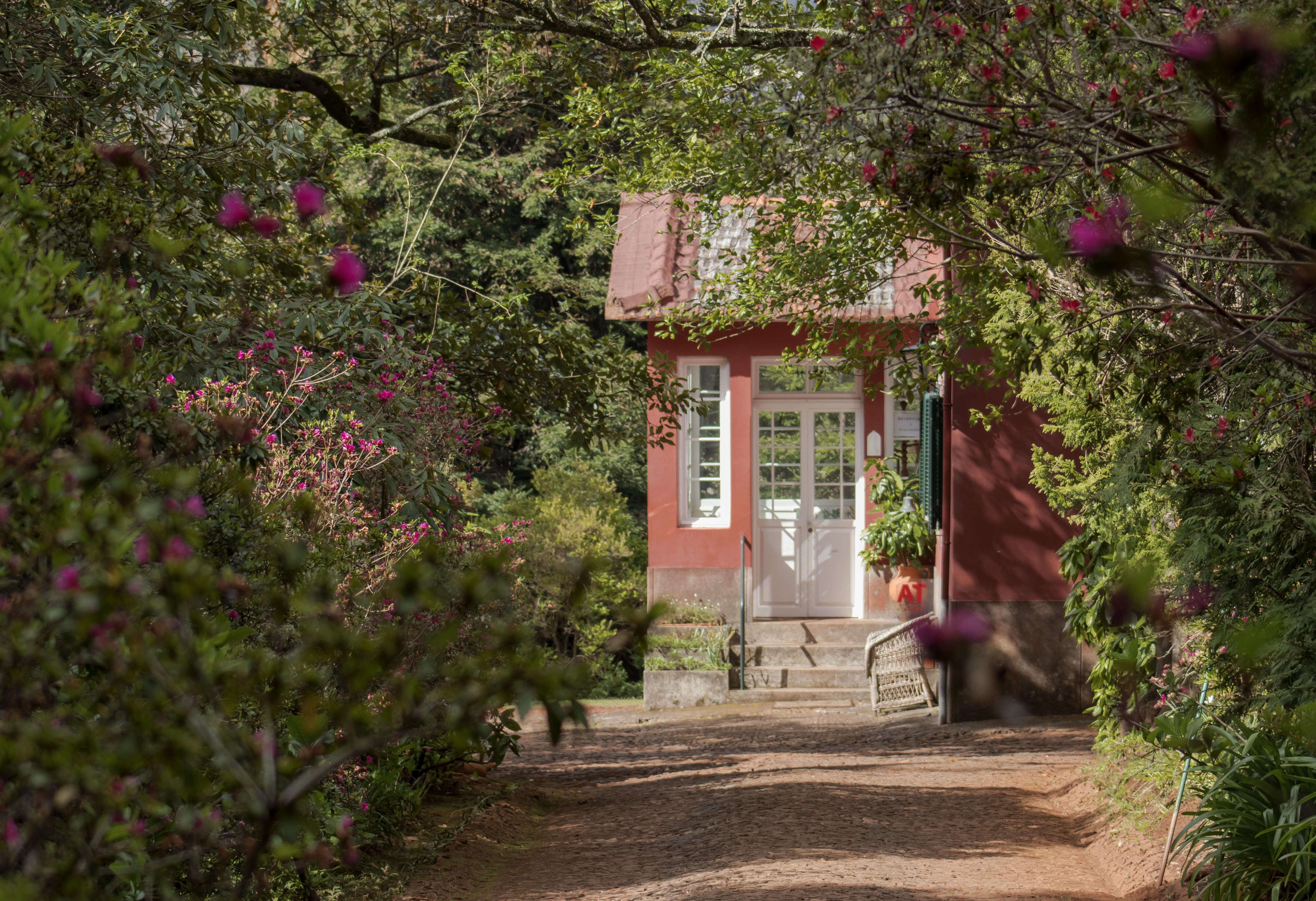 Quinta Santo Antonio Da Serra Екстериор снимка