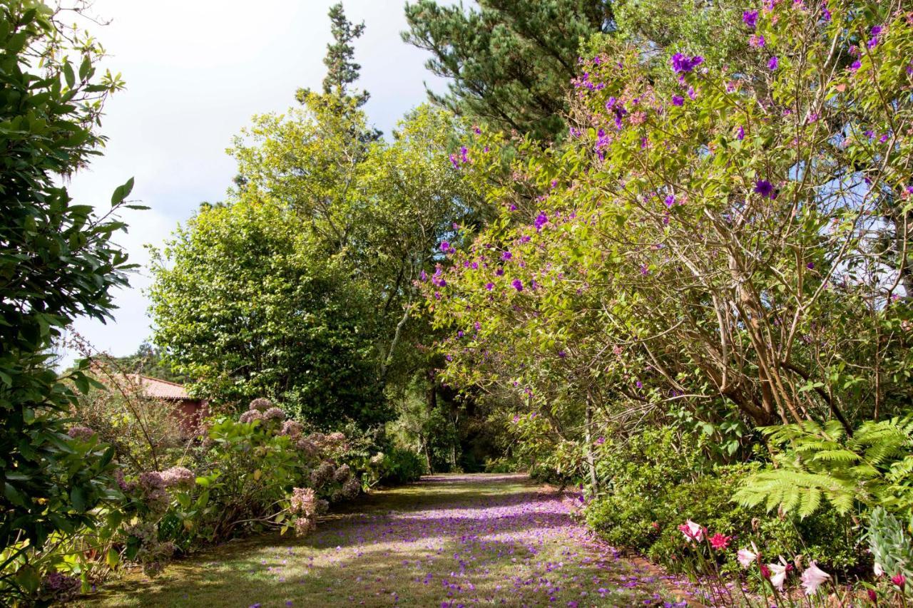 Quinta Santo Antonio Da Serra Екстериор снимка